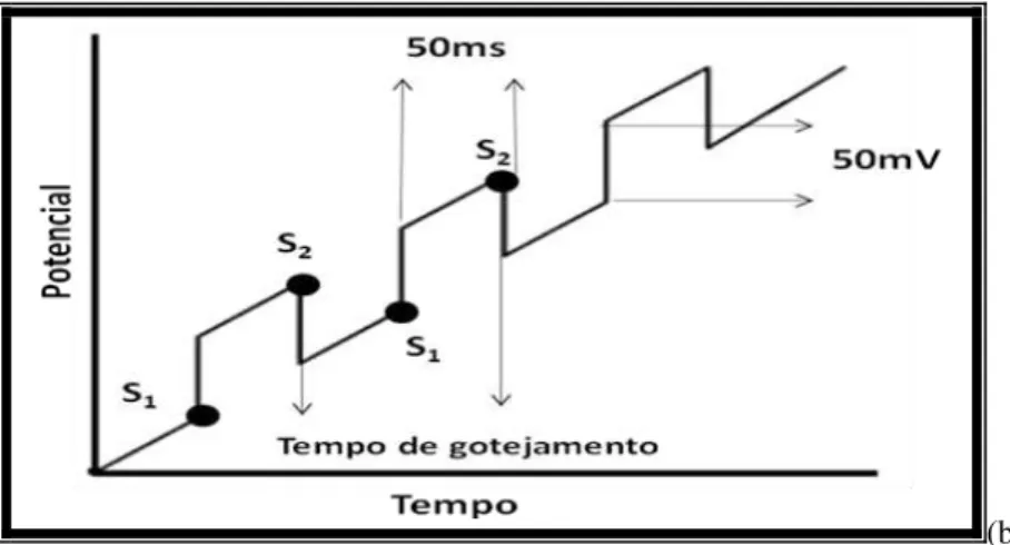 Figura 3-6  –  Esquema da aplicação de potencial em função do tempo em polarografia de  pulso diferencial.( a): Sinal de excitação (pulso sobre varredura em forma de escada) 