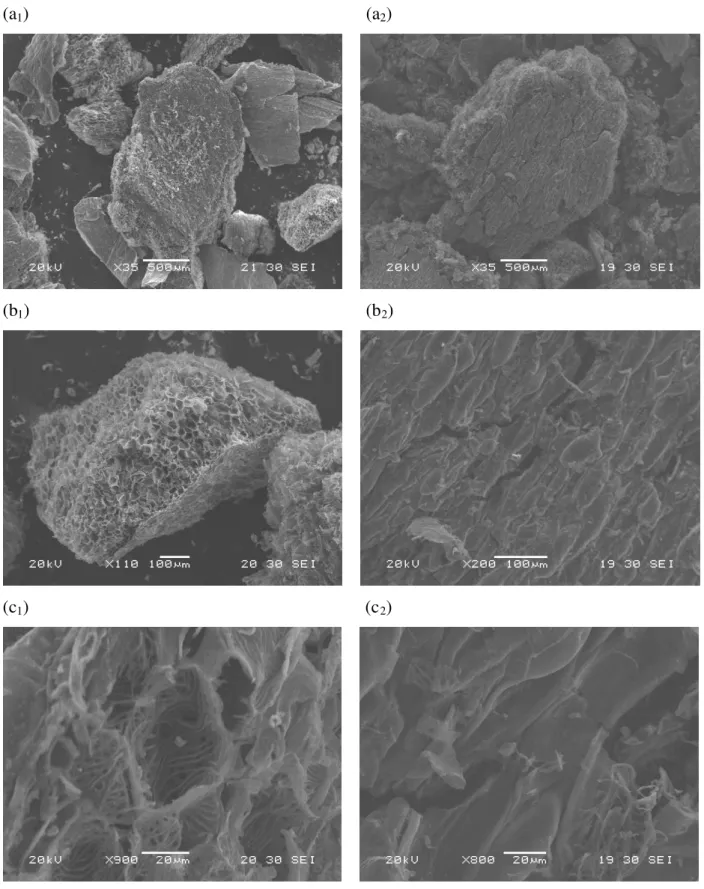 Figura 5-10: Microscopia Eletrônica de Varredura; (a 1 ,b 1 ,c 1 ) carvão 950/CO 2 /30gv em  aumentos crescentes, (a 2 ,b 2 ,c 2 ) carvão 750/H 2 O/10gv em aumentos crescentes