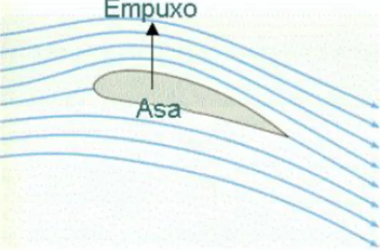 Figura 3.6– Fluxo de vento em uma asa 