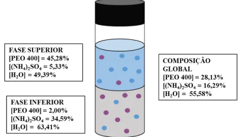 Figura 3 - Composições das fases e do sistema global para um ponto de mistura do sistema aquoso  bifásico composto por polímero polietileno glicol (400 g mol -1 ), sal sulfato de amônio e água à 10°C)