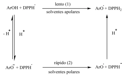 Figura 1-14: Vários caminhos possíveis da reação que ocorre entre o DPPH˙ e o antioxidante