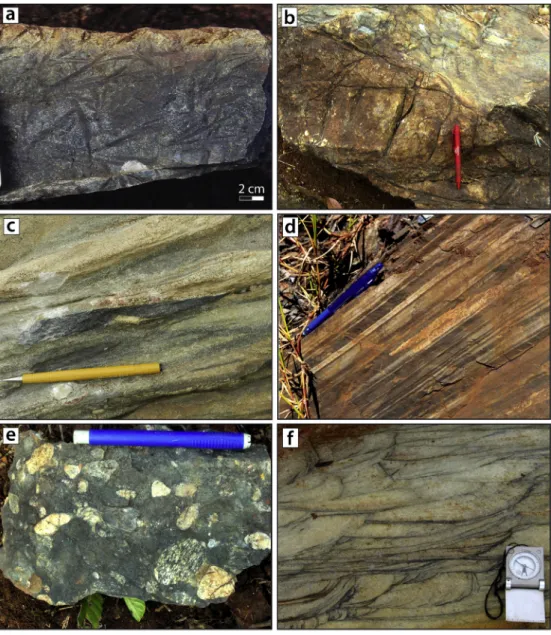 Fig. 8. Field photographs of the supracrustal rocks. (a) Komatiite showing spinifex structure, basal portion of the Nova Lima Group; (b) metabasalt with deformed pillow structure, basal portion of the Nova Lima Group; (c) polymictic conglomerate of the Maq