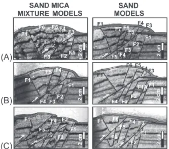 Figure 6 -  Photographs of cross sections through the centers  of the models at final inversion