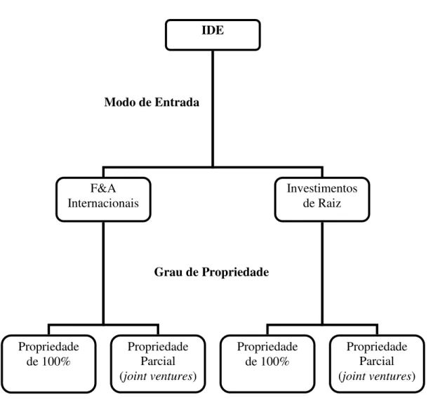 Figura 2.1 – Tipologia do Investimento Directo Estrangeiro 