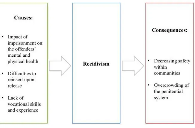 Figure III: Overview of the causes and consequences of recidivism 