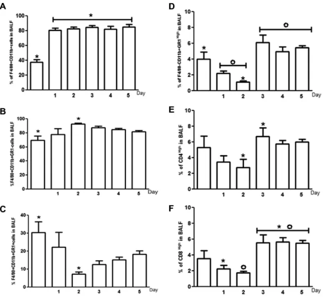 Fig. 3. Percentage of macrophages, neutrophils and lymphocytes in BALF of control and cigarette smoke exposed groups