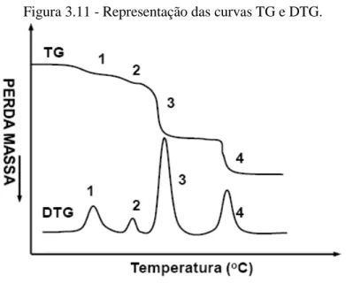 Figura 3.11 - Representação das curvas TG e DTG. 