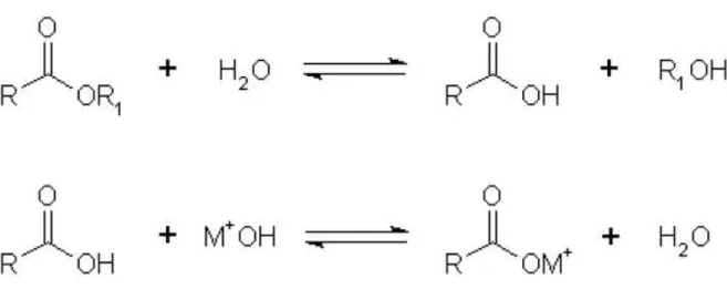 Figura 7 Reação de KOH com ROH, com consequente introdução de água no meio reacional da 