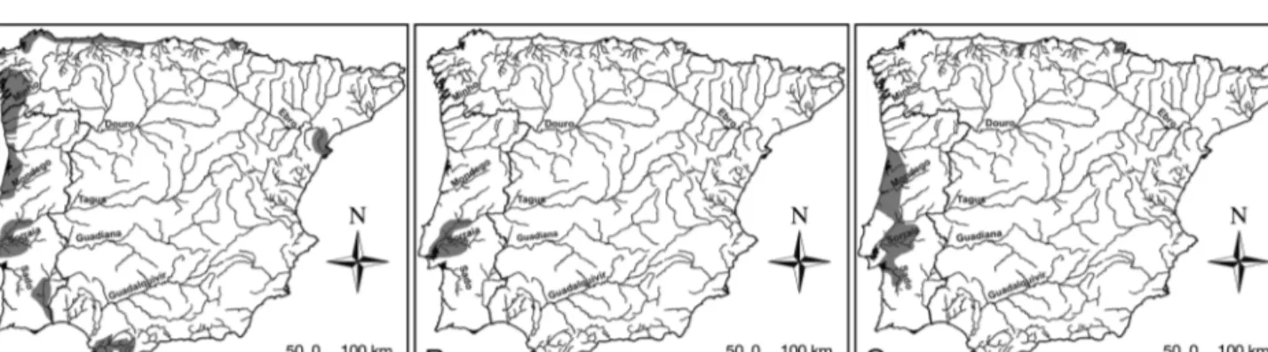 Fig. 1A shows the present distribution of P. marinus on the Iberian Peninsula. In Spain, it occurs in most rivers flowing into the Can  ta brian Sea and the Atlantic Ocean, as well as some of the Mediterranean (Fig