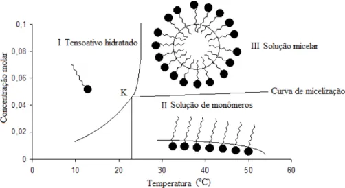 Figura 12 - Diagrama de fase de um tensoativo iônico próximo ao ponto de Krafft 