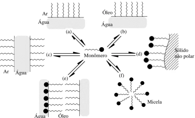 Figura 15 - Representação esquemática de atividade de moléculas anfifílicas: a) interface ar/água; b) interface 