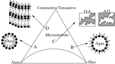 Figura  22  –  Representação  aleatória  dos  tipos  de  estruturas  em  uma  microemulsão