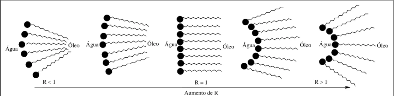 Figura 24 – Evolução da curvatura interfacial de sistemas microemulsionados em relação a R 