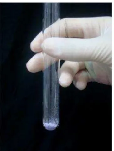 Figura 8 Conteúdo da cápsula vertido em tubo de ensaio.