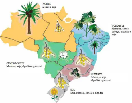 Figura 3.3 - Distribuição de oleaginosas de acordo com as várias regiões brasileiras.  