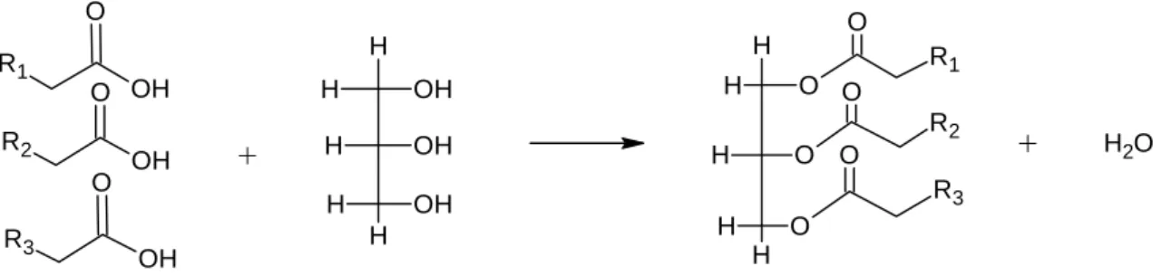 Figura 3.6 – Formação de um triacilglicerídeo a partir da glicerina e dos ácidos graxos