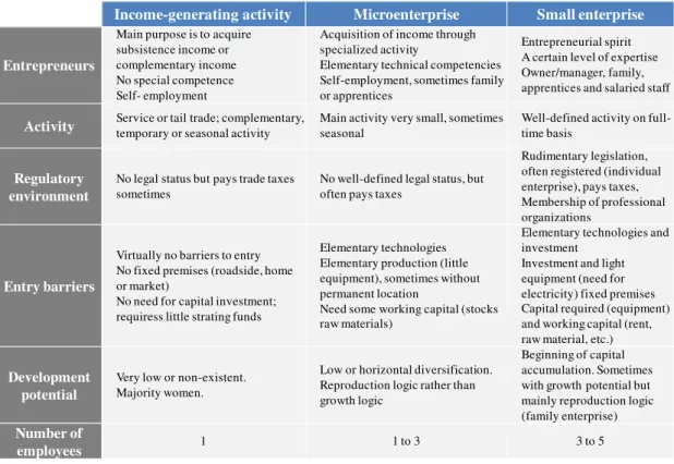 Table 1: Differentiation among enterprise typology 