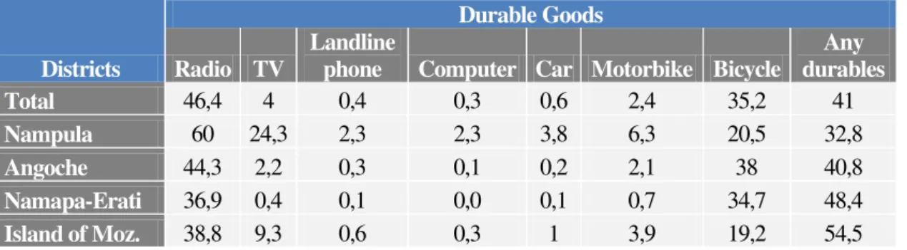 Table 4: Percentage of households by district, according to possession of durable goods