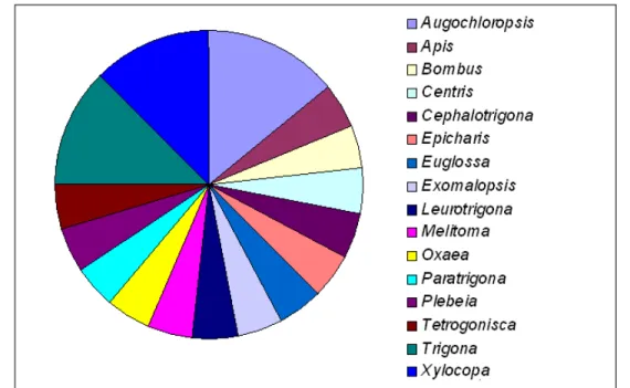Figura  4  -  Porcentagem  de  gêneros  de  abelhas  encontradas  na  área  estudada  no  campus UFSCar - Araras durante 2011 no estudo