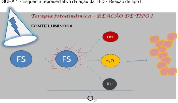 FIGURA 1 - Esquema representativo da ação da TFD - Reação de tipo I. 