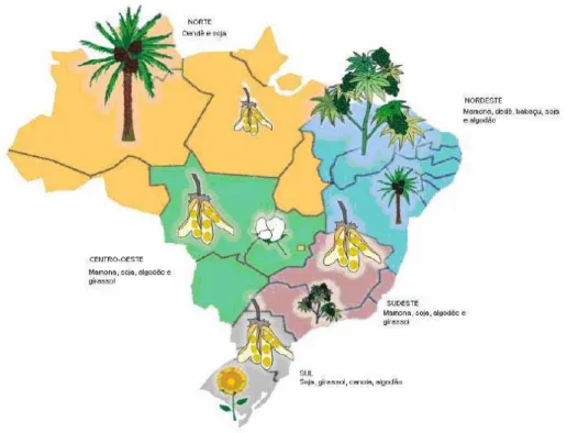 Figura 2.4 Fontes de biodiesel de acordo com as várias regiões brasileiras. 