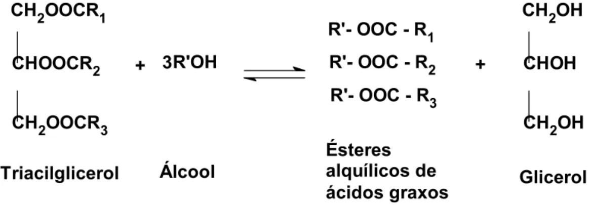 Figura 2.8 Modelo ilustrativo da reação geral de transesterificação. 