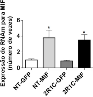 Figura 9 - Níveis de RNAm para MIF no NTS de ratos 2R1C e NT. Os resultados  estão apresentados como média ± EPM, n representa o número de ratos por grupo