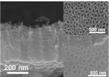 Figura 2.6 - Imagens de MEV da camada de nanotubos de óxido de titânio  formada em Ti através de anodização em eletrólitos contendo ácido    