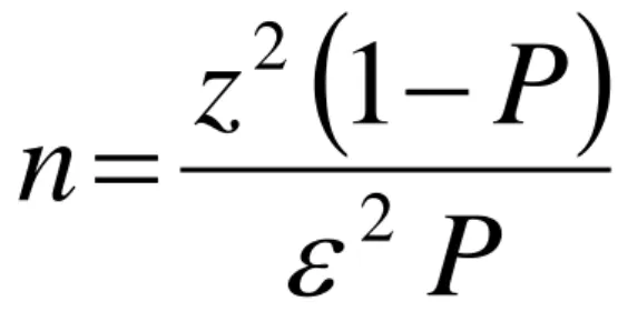 Figura 1. Fórmula para o calculo do tamanho da amostra. 