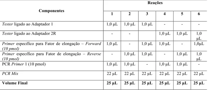 Tabela 1: Componentes e Volumes utilizados para verificar por PCR a eficiência da ligação 