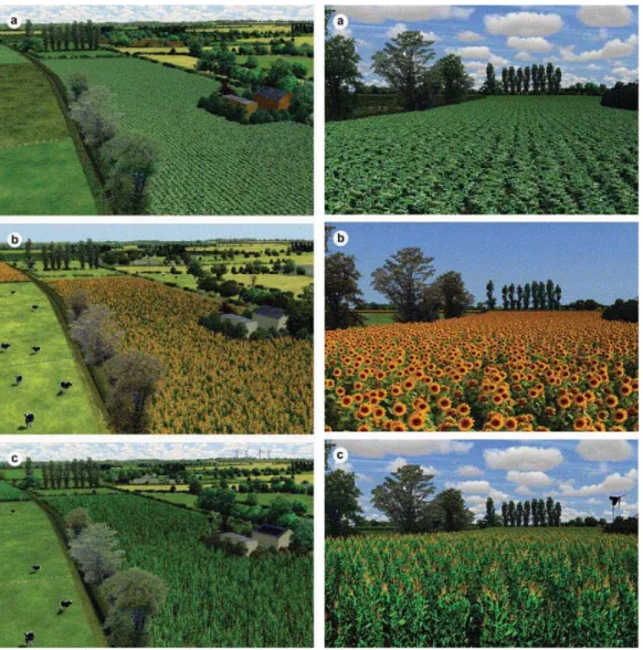 Figure 1-6 shows a landscape from two viewpoints, at two dates (2001 and 2020), with the latter under  scenarios of two land management regimes