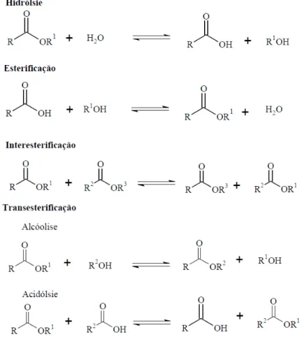 Figura 1 - Representação esquemática das reações de hidrólise, esterificação e interesterificação  catalisadas por lipase