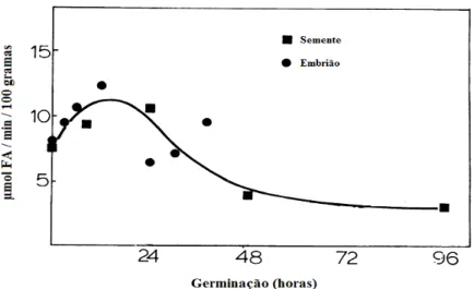 Figura 5 - Atividade em função do tempo de germinação. 