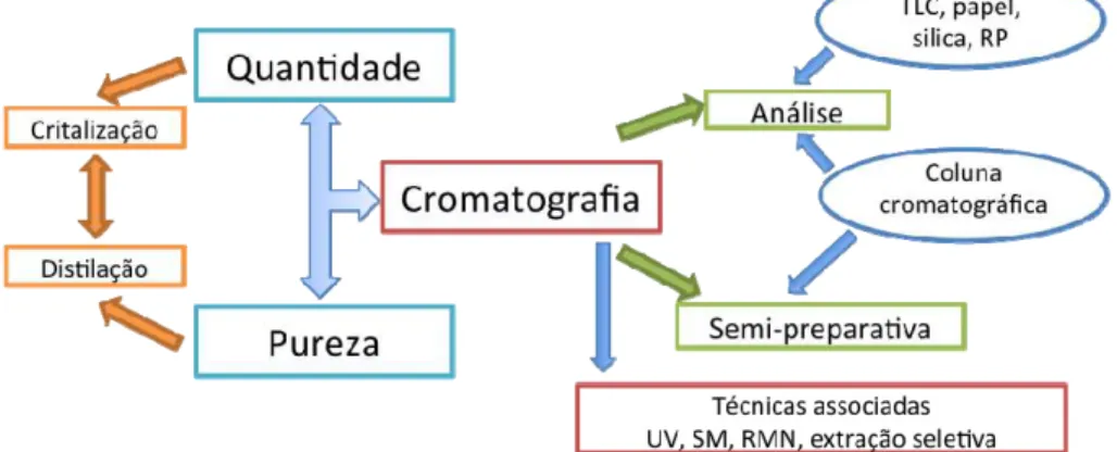 Figura 1. Plano de pesquisa seguido pelo Grupo de Alelopatía de Cádiz (GAC- (GAC-Universidad de Cádiz)