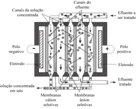 Figura  3.6:  Movimento  dos  íons  dentro  de  uma  célula  de  eletrodiálise  (adaptado  de  INAP,  2003)