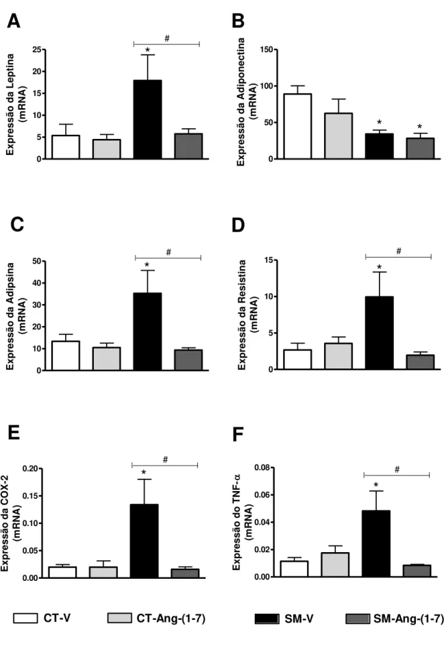 Figura  05:  Expressão  do  mRNA  das  adipocinas  leptina,  adiponectina,  adipsina,  resistina,  COX-2  e  TNF- α   (qRT-PCR)  no  TAB  retroperitoneal  de  ratos  submetidos  à  dieta  hiperlipídica  (SM,  n=5-7  ratos)  ou  controle  (CT;  n=5-7  ratos