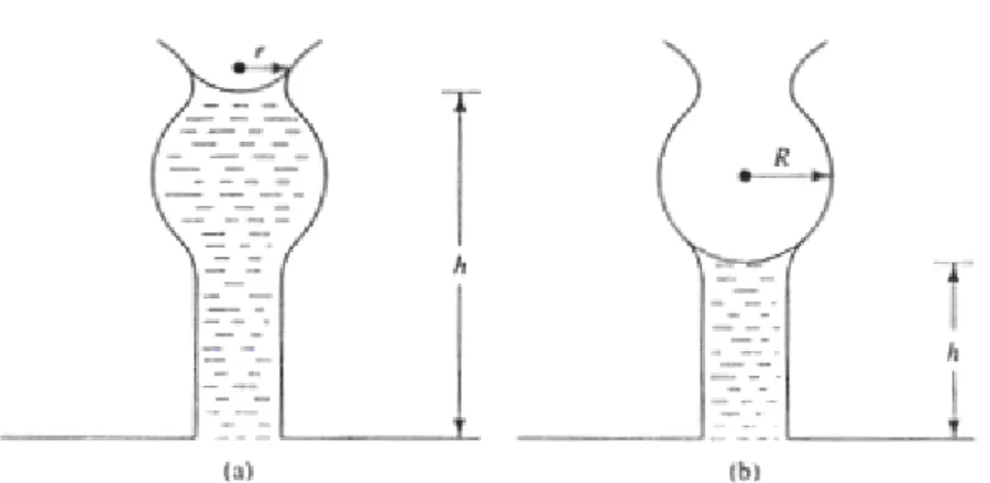 Figura 3.6 – Influência da geometria dos poros na altura capilar durante (a) drenagem   (b) umedecimento