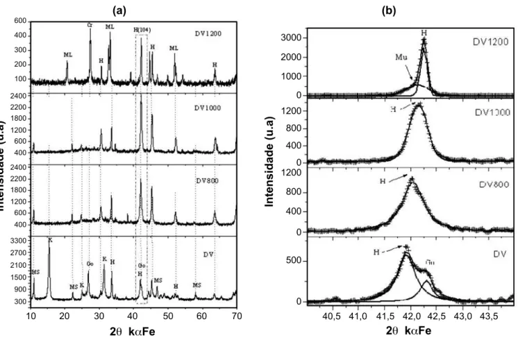 Figura 3: Curvas de análise térmica diferencial e gravimétrica da  amostra DV. Notar o pico endotérmico da goethita a 307 °C e da  caulinita a 490 °C.