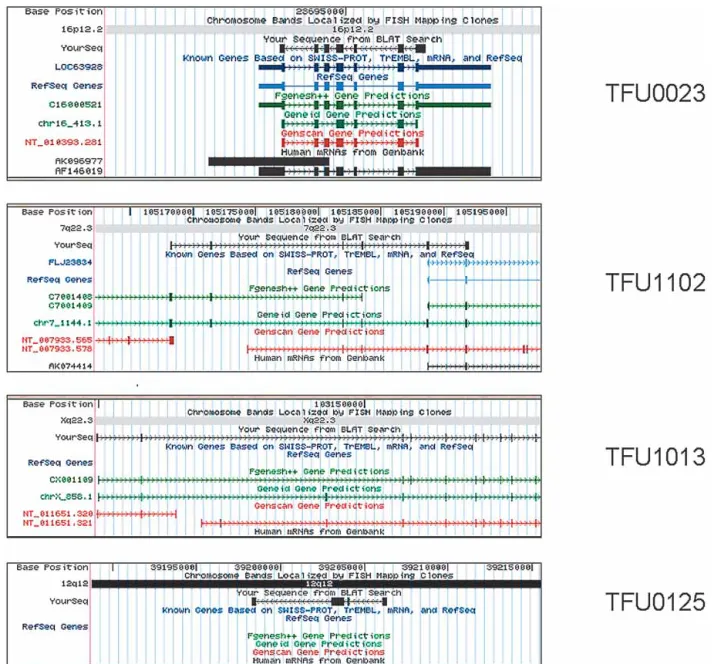 Figure 3 Characterization and annotation of validated TFUs. Alignment of four consensus sequences, derived from the validated TFUs, to the July 2003 version of the UCSC human genome sequence assembly, using the BLAT search tool