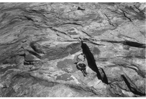 Fig. 6. Inclined hemisphere projection on the slope face of the slide in Fig. 5 (DIPS 5.05, 2000).