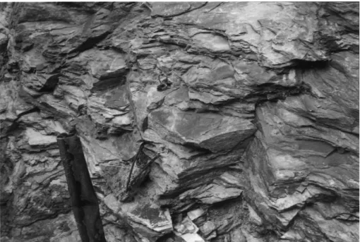 Fig. 8. Slide of small blocks in a domain of the Timbopeba Mine slope.