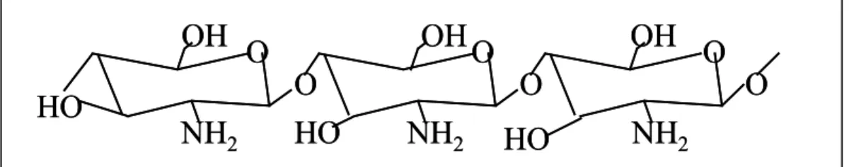 Figura 2: Estrutura química da quitosana. Natal/RN, 2005 