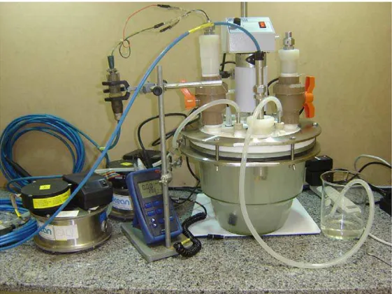 Figura 3.1 –  Célula Eletroquímica Instrumentada (TÁVORA, 2007).