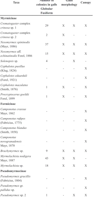Table 1. Ant species found in senescent stem-galls and canopy of  E. erythropappus from the study sites
