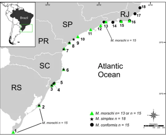 Figure 1. Cytogenetically characterized populations of Mycetophylax species across the distribution of the genus along Atlantic coast