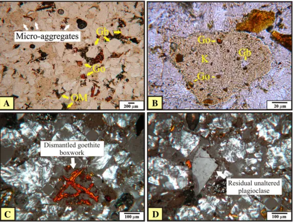Fig. 5. OMP (parallel nicols) showing the A: general appearance of the Intergrain Micro-Aggregate (IMA) structure highlighting the B: microaggregate composed of yellowish micromass with gibbsite and goethite coarse material; OMP (crossed polarized light) h