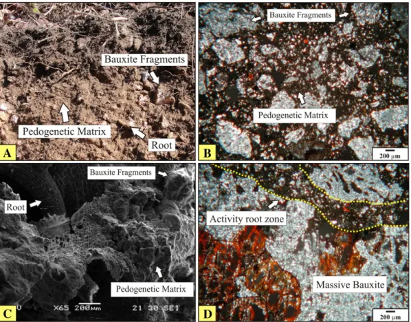 Fig. 8. X-ray diffractogram (CuKα radiation) of the following textures PFR: phorphyric structure: I — bauxite fragments and II — pedogenic material surrounding the fragments; FIM: ﬁne monic structure