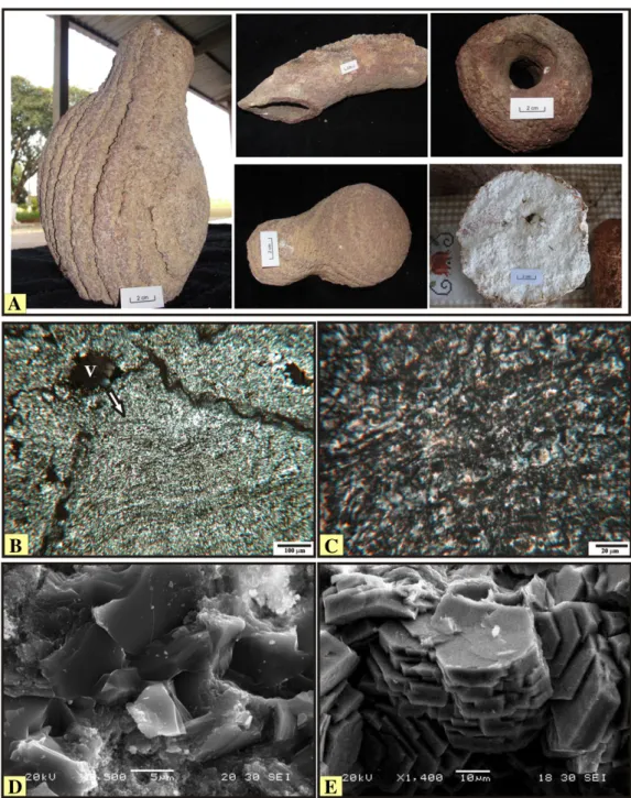 Fig. 9.A: The macromorphological appearance of the rhizoform features containing a ﬁ ne monic structure; B: OMP (crossed polarized light) highlighting the general appearance of the ﬁ ne monic structure