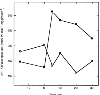 Fig. 2. Absence of glucose-induced activation of plasma mem- mem-brane H  -ATPase in the plc1 v strain