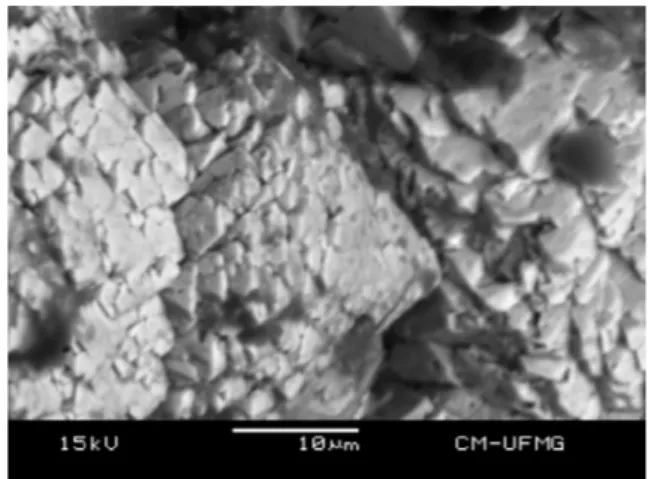 Fig. 1. Backscattered electron image (BSI) of a mottramite single crystal up to 0.5 mm in length.